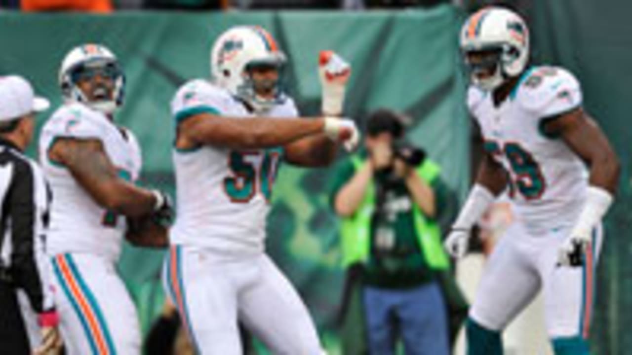 Dolphins-121128-Spot.jpg