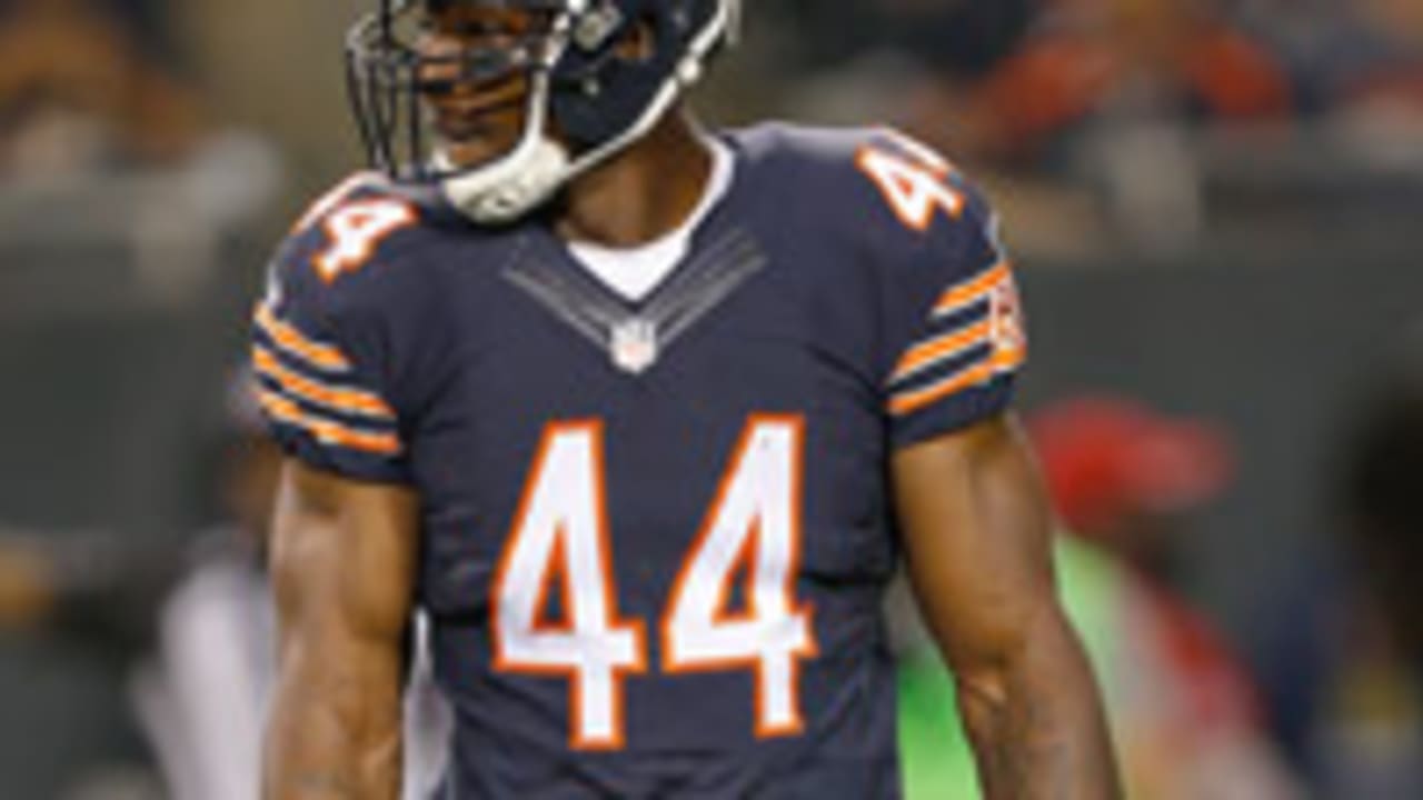 Adrian Wilson cut by Chicago Bears