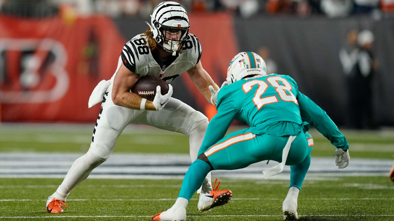 Cincinnati Bengals tight end Hayden Hurst (88) carries the ball during an  NFL football game against the Pittsburgh Steelers, Sunday, Sept. 11, 2022,  in Cincinnati. (AP Photo/Emilee Chinn Stock Photo - Alamy