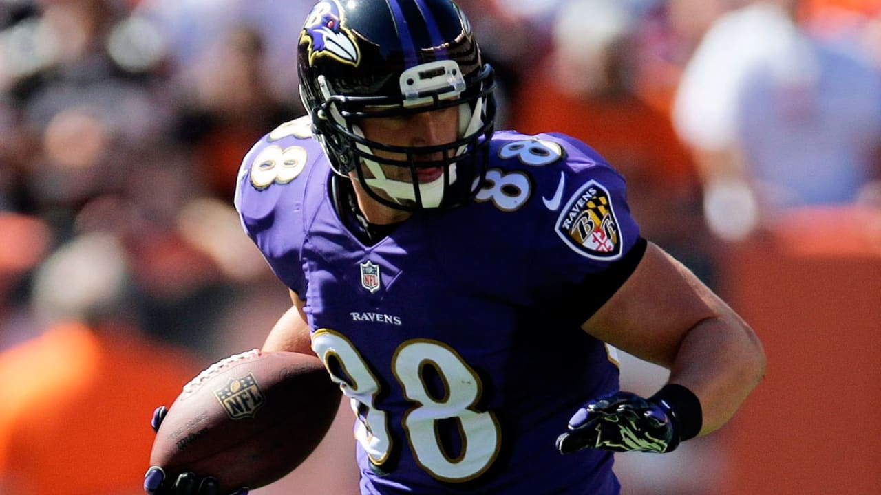 Dennis Pitta will attempt a return to the Baltimore Ravens