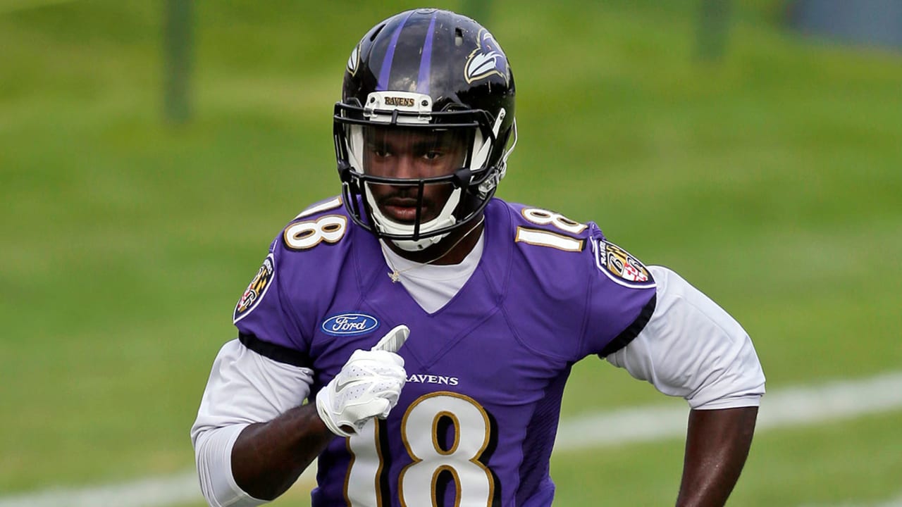 Breshad-Perriman-150817-SL.jpg