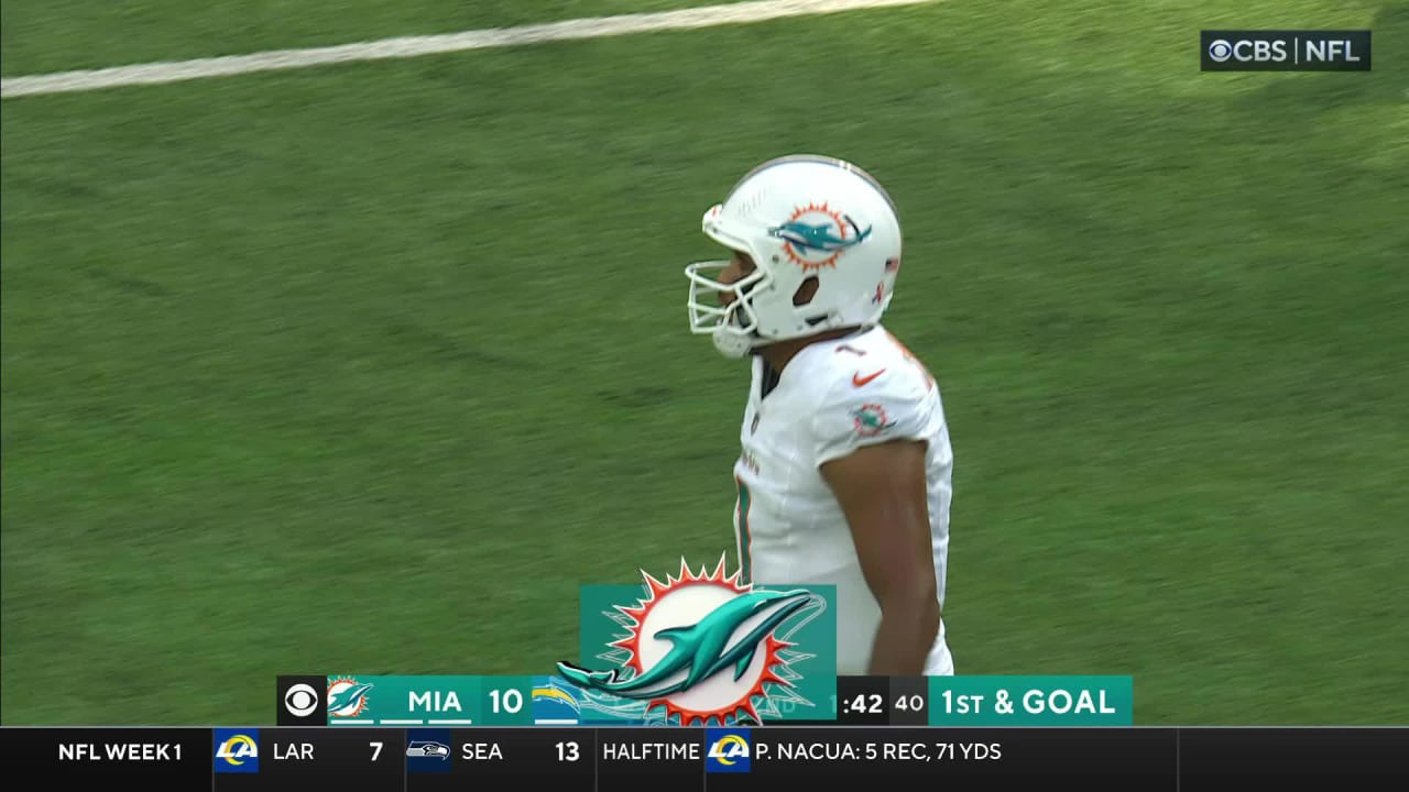 NFL Locals: Miami Dolphins' River Cracraft scored for second consecutive  week in win over Buffalo