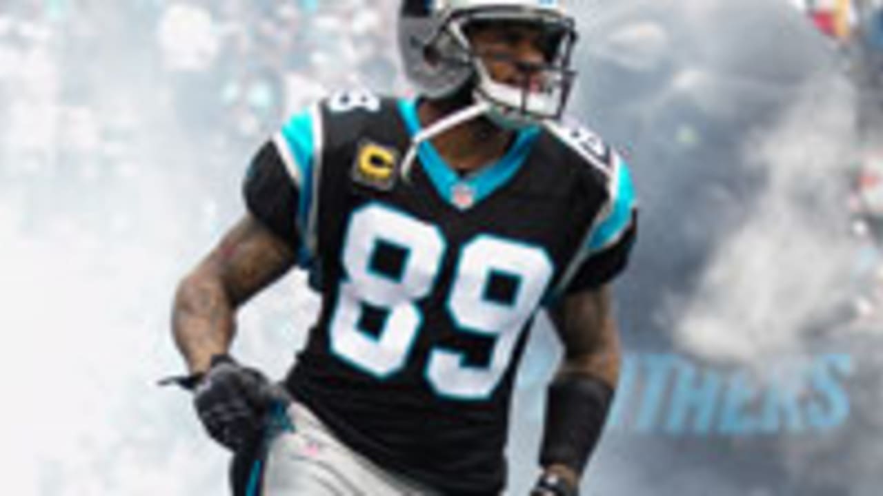 Baltimore Ravens sign former Panther WR #89 Steve Smith to a 3