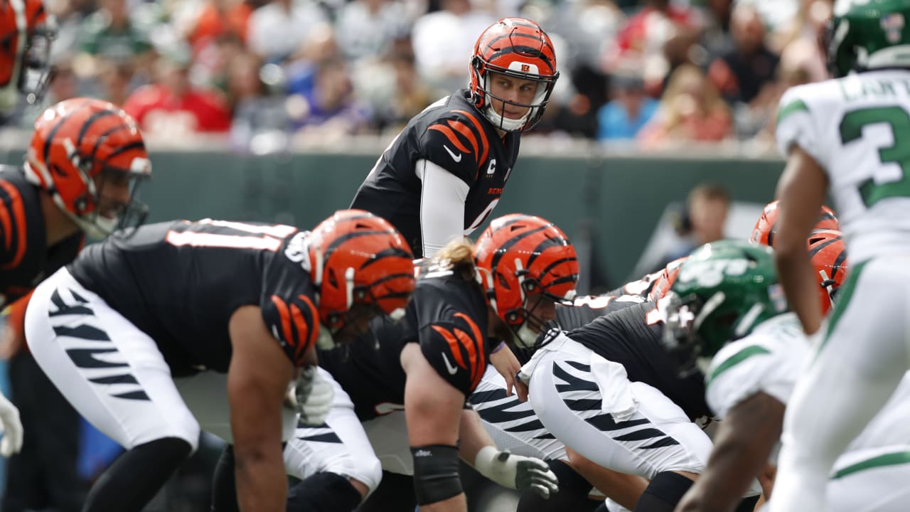 Cincinnati Bengals celebrate their first AFC North title since 2015