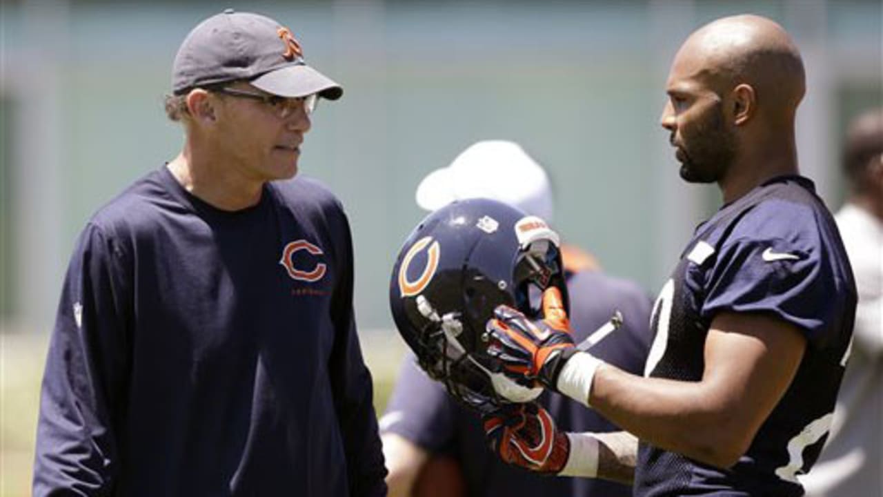 bears.jpg