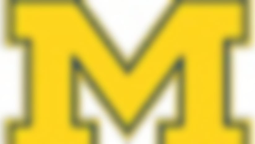 Michigan-53x65.jpg