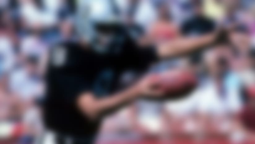 Ray_Guy_130604_IA.jpg