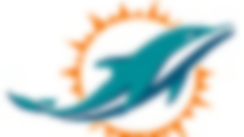 Dolphins-65x90-082014.jpg