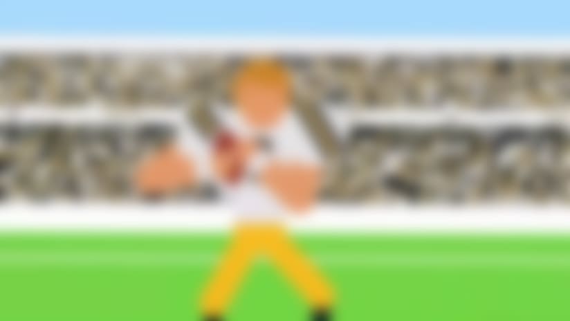 Animated guide to the Seattle Seahawks