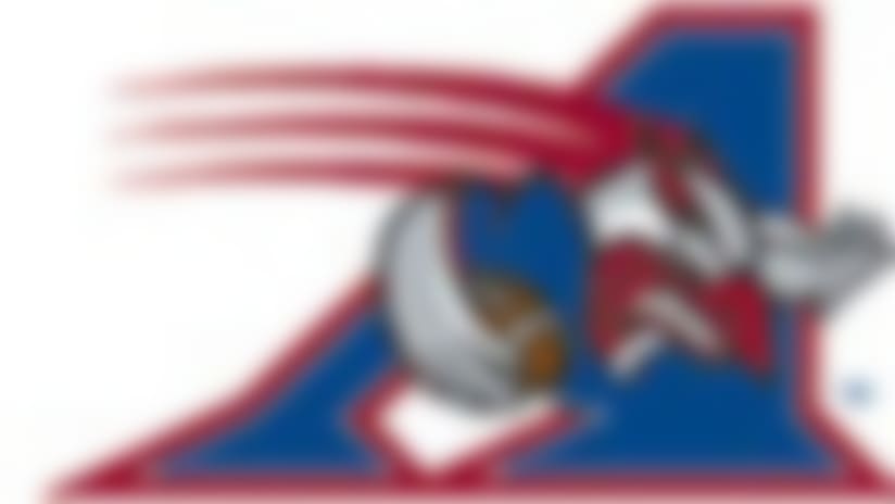 alouettes-130501-65.jpg