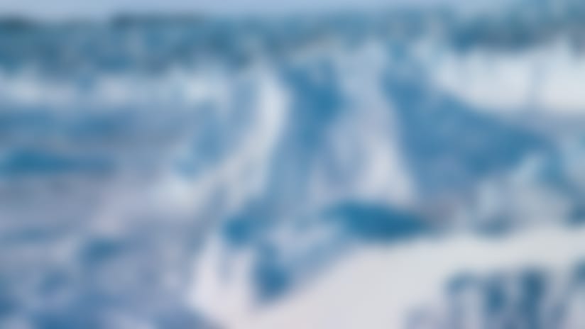 Netflix releases stunning trailer for wildlife doc: 'Our Planet'