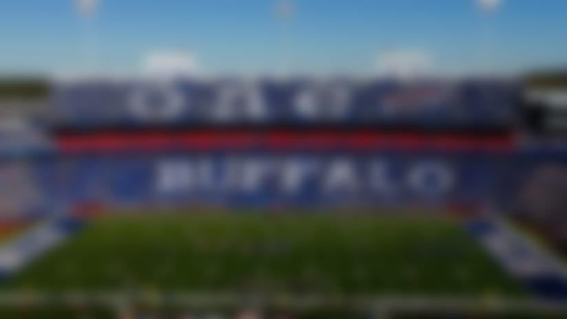 The "One Buffalo" concept was devised as a way to link together the Pegulas' various ownership concerns in the community.