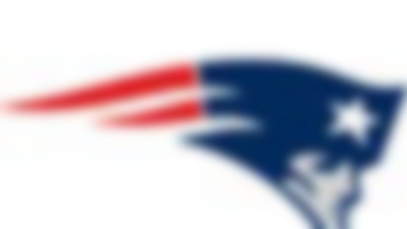 Patriots-130220-IL.jpg