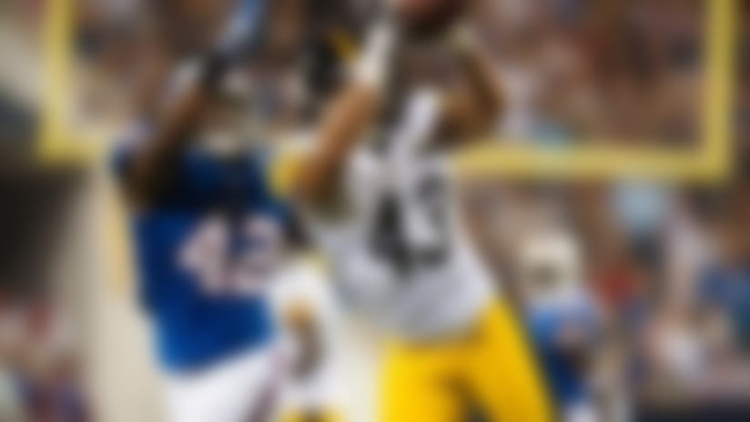Troy Polamalu-141122-TOS.jpg