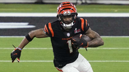 bengals nfl 2022