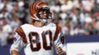 Cincinnati Bengals Gallery - 1981