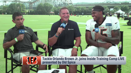 Orlando Brown Stats, News and Video - OT