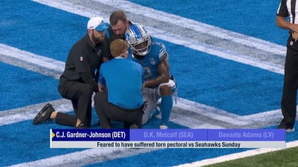 CJ Gardner-Johnson Injury: Lions DB Suffers Torn Pec