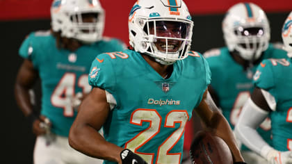 dolphins 22