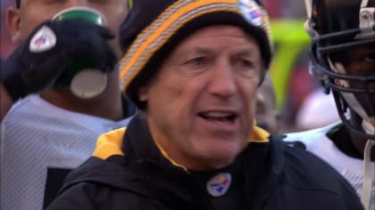 Dick LeBeau's helmet  Pro Football Hall of Fame