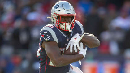 JAMES DEVELIN Patriots running back celebrates scoring a touchdown