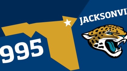 Animated Guide To The Jacksonville Jaguars