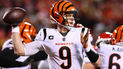 cincinnati bengals