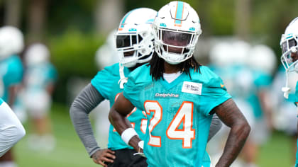 Should the Miami Dolphins unveil an alternate helmet for the 2022 NFL  season? - The Phinsider