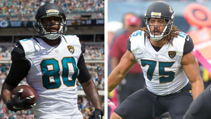 Jaguars turn from Suh to target Jared Odrick - The Phinsider