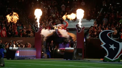 NRG Stadium Texans Field, Houston Texans, Karen