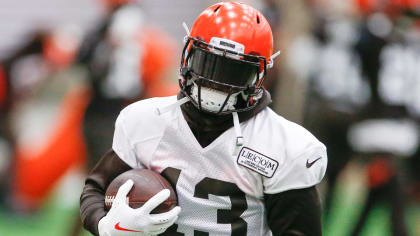 Logos And Uniforms Of The Cleveland Browns Indianapolis Colts 2010 NFL  Season American Football Helmets PNG