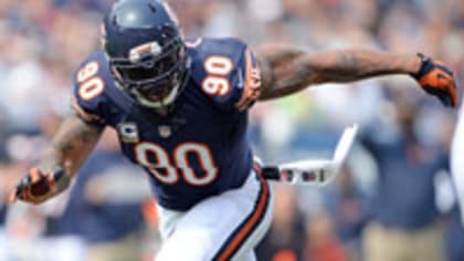 Julius Peppers, Chicago Bears  Chicago bears football, Chicago sports  teams, Chicago bears