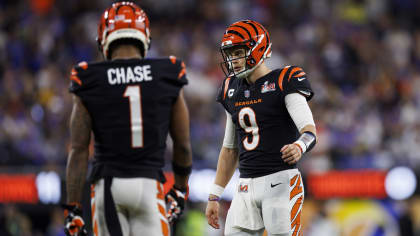 Cincinnati Bengals demolish Pittsburgh Steelers amid playoff push