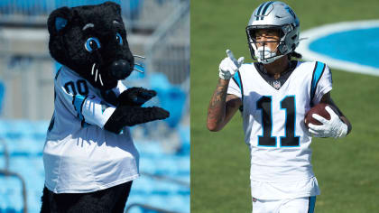 Sir purr, meet miss hiss : r/panthers