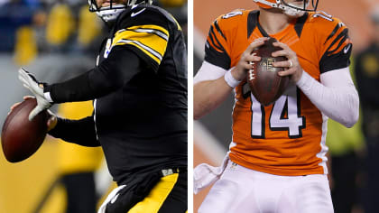 AFC North standings: Steelers rebound in Week 11 after the tie