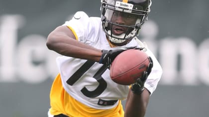 Pittsburgh Steelers wide receiver Devin Gardner (15) at practice during NFL  football training camp in Latrobe, Pa. on Saturday, Aug. 1, 2015 . (AP  Photo/Keith Srakocic Stock Photo - Alamy