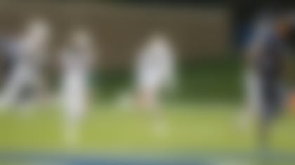 Corn Elder-151101-TOS.jpg