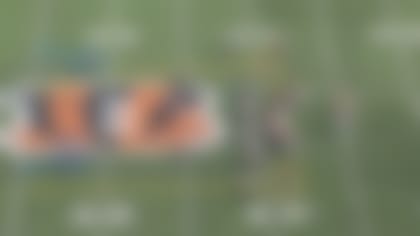 bengals8