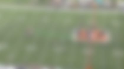 bengals7