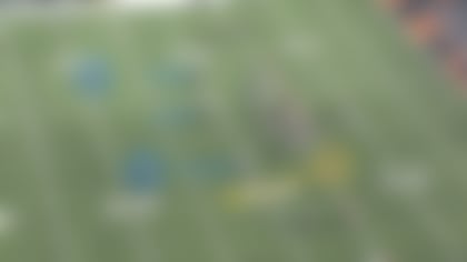 bengals1