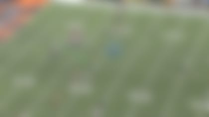 bengals4