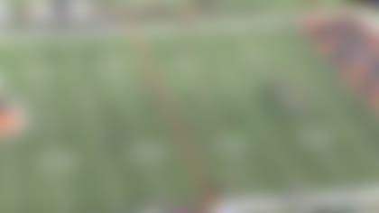 bengals2