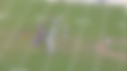 Fields3