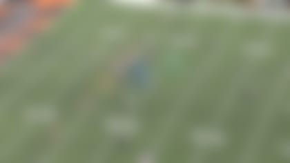 bengals3