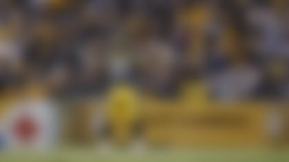 In 14 seasons with the Steelers, James Harrison won two Super Bowl rings and collected a franchise-record 80.5 sacks.