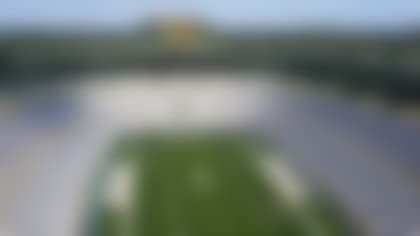 packers-stadium-twitter