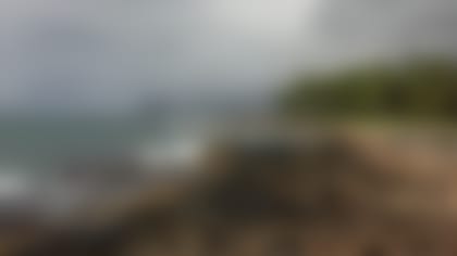 Rain is in the forecast for the entire island of Oahu, meaning Sunday's Pro Bowl could be a soggy affair. (Andy Fenelon/NFL.com)