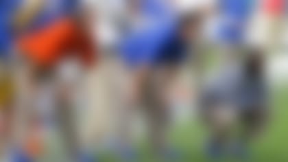 Will Muschamp-131123-TOS.jpg