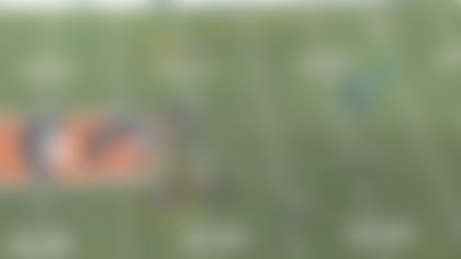 bengals10