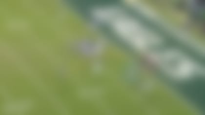 QBevolution5